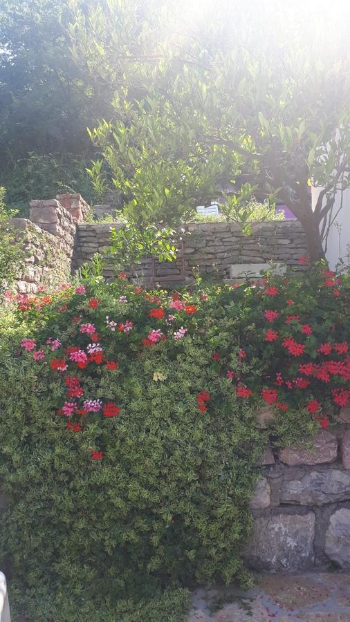 Vila Lucice Petrovac 외부 사진