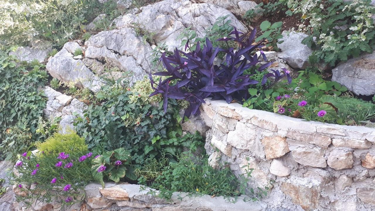 Vila Lucice Petrovac 외부 사진